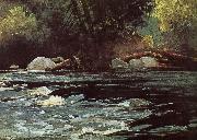 Winslow Homer, Hudson River Rapids